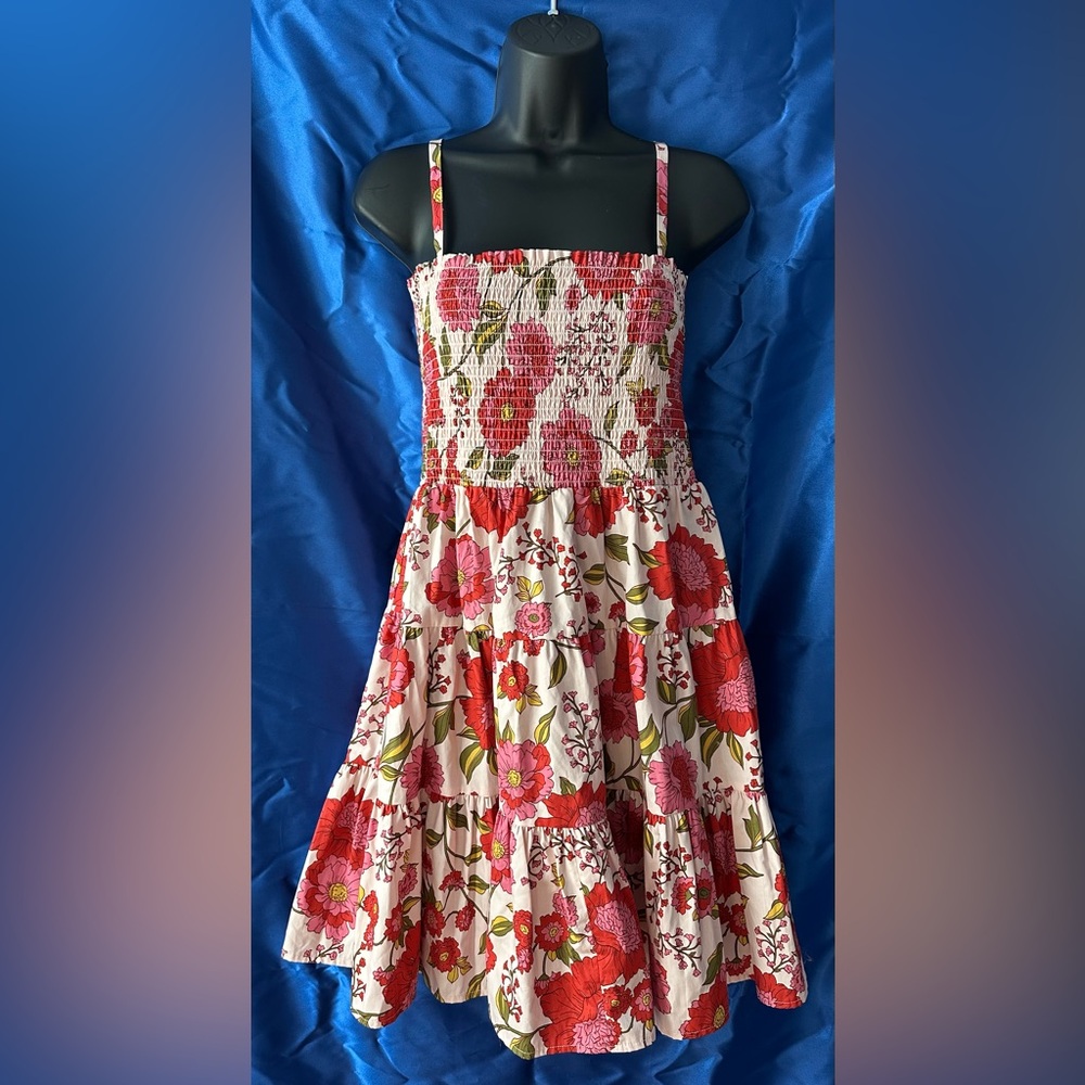 NWT Steve Madden Floral Dress